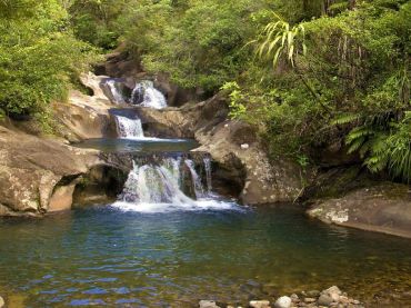 Rapaura Water Gardens