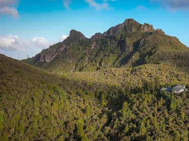 Kauaeranga Kauri Trail