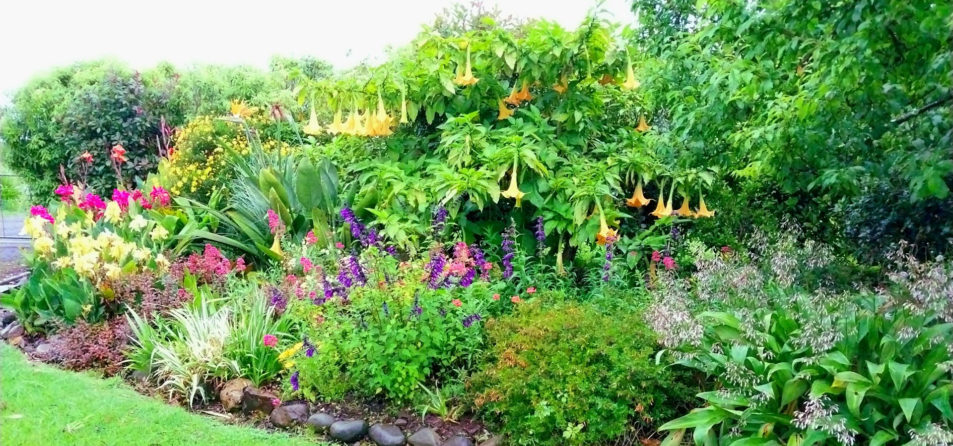 Thames accommodation