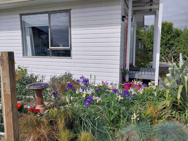 Garden view outside the guest suite (spring)
